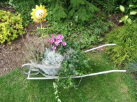 /album/netradicni-dekorace/dscf1180-jpg/