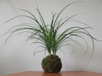 /album/aktualne-k-prodeji/img-6208-jpg/