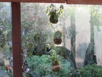 /album/fotogalerie-kokedamy/img-6920-jpg/