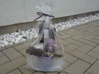 /album/netradicni-dekorace/a20160904-090418-jpg/