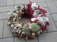 /album/fotogalerie-podzimni-dekorace/a20160902-115210-jpg/