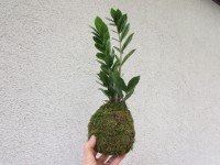 /album/aktualne-k-prodeji/img-6739-jpg/