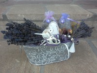 /album/netradicni-dekorace/a20160830-183311-jpg/