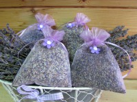 /album/netradicni-dekorace/img-6923-jpg/