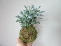 /album/aktualne-k-prodeji/img-8348-jpg/