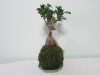 /album/aktualne-k-prodeji/img-8410-jpg/