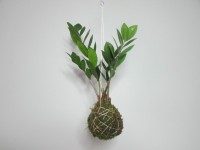 /album/aktualne-k-prodeji/img-8408-jpg/