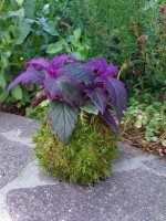 /album/aktualne-k-prodeji/img-20170828-163740-resized-20170828-043940311-jpg/