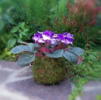 /album/aktualne-k-prodeji/img-20170828-164922-resized-20170829-073407894-jpg/