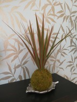 /album/aktualne-k-prodeji/img-20180226-133034-resized-20180226-013857028-jpg/